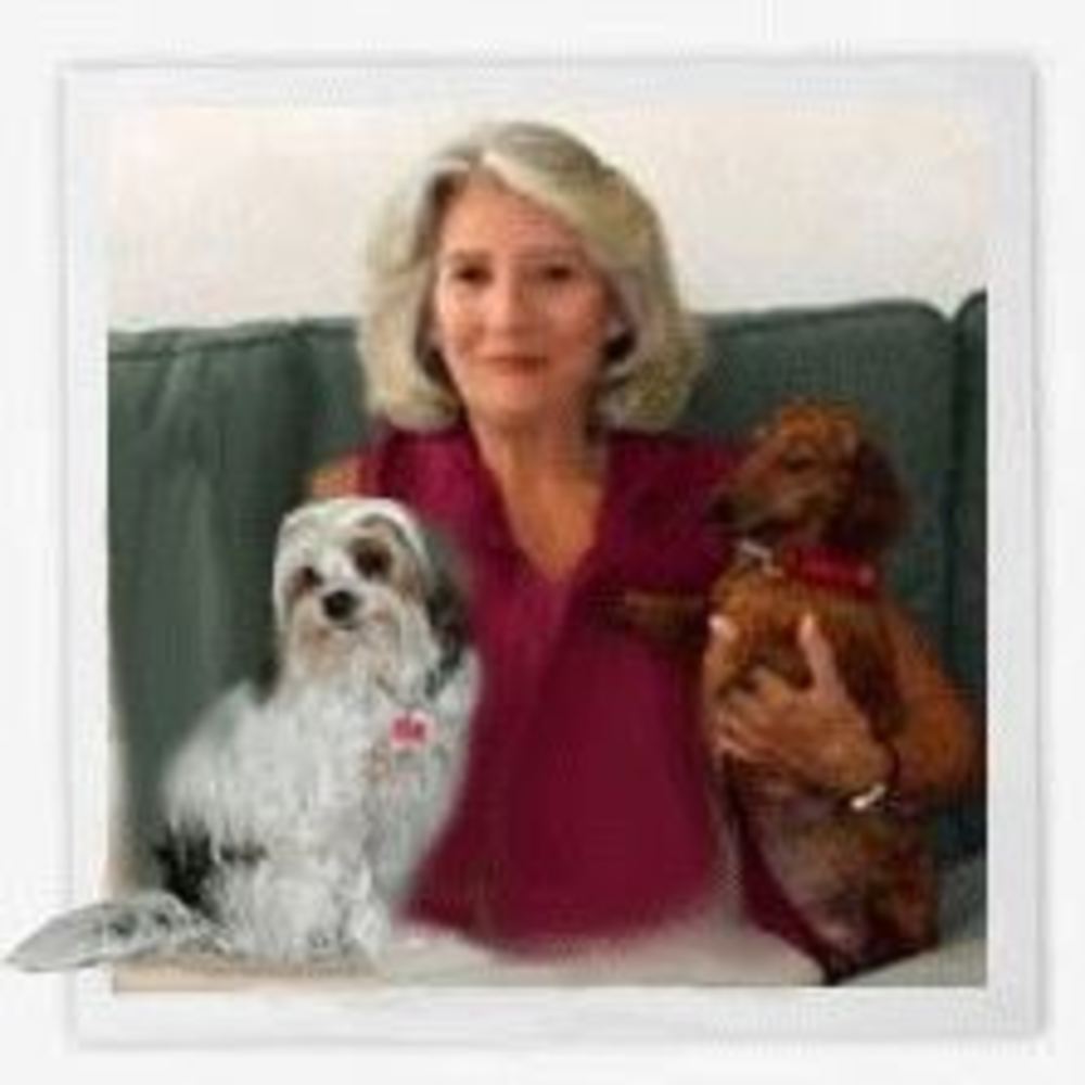 Meet your Posher, Ann